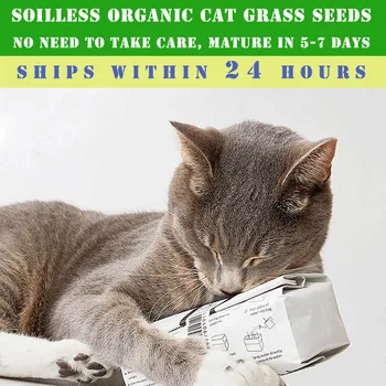 

Non-toxic Edible Cat Grass Seeds Lazy Suit Portable Tin Paper Pot for Cats Pet Mat Kitty Removal of Gastrointestinal Hair Ball