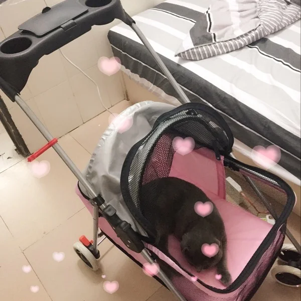 

Small and Medium Dog Cat Pet Stroller Simple Folding Car Dog Carrier Bags for Small Dogs Dog Car Seat