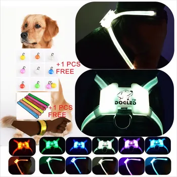 

dog christmas DODLED