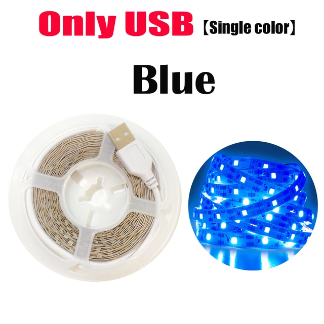 Bluetooth Control RGB 5050 2835 LED Lights Strip USB 5V Flexible Lamp Tape Diode Festival Fita White Tira Luces TV PC Desk Luz Onlly USB Blue