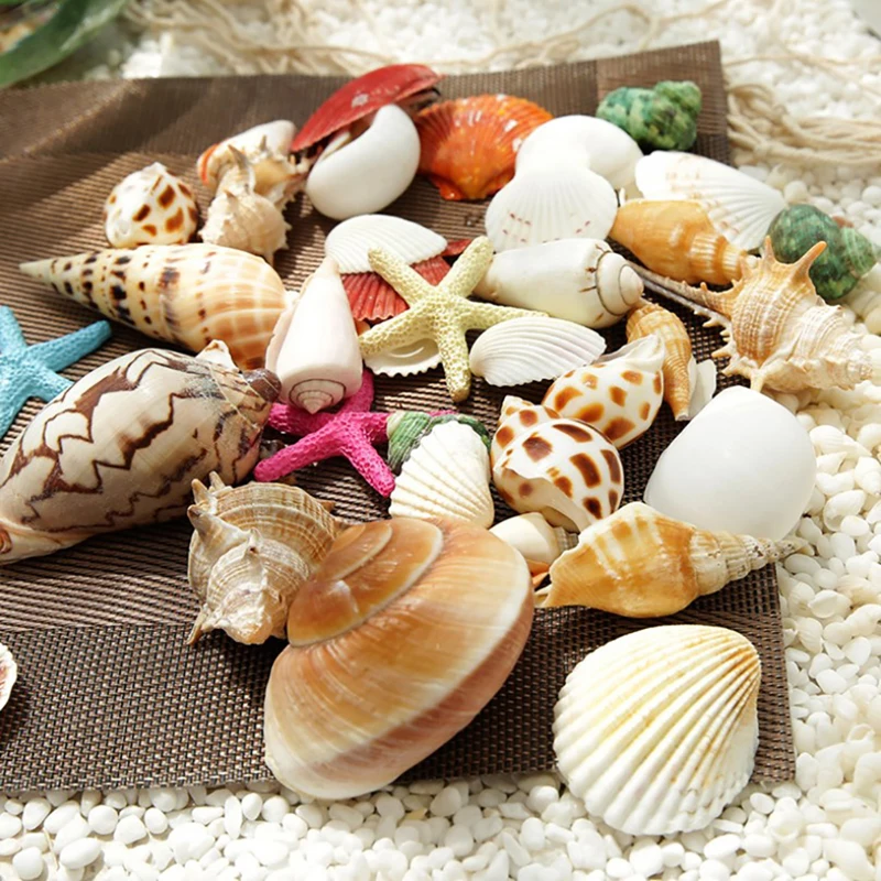 Aquarium Decor Tiny Sea Shells Natural Colorful Spiral Ocean - Temu