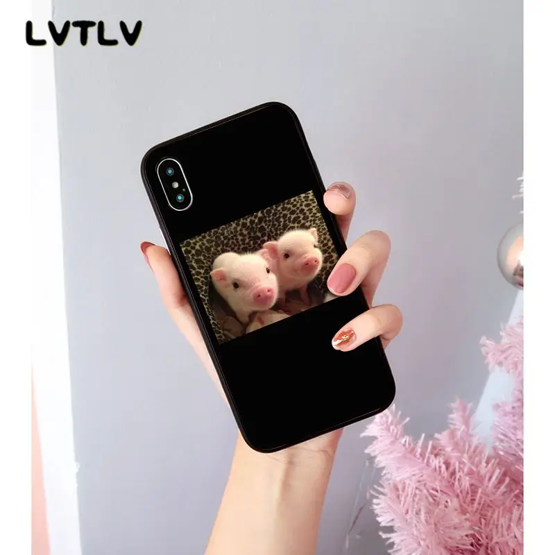 Cute Little Pink Pet Pig