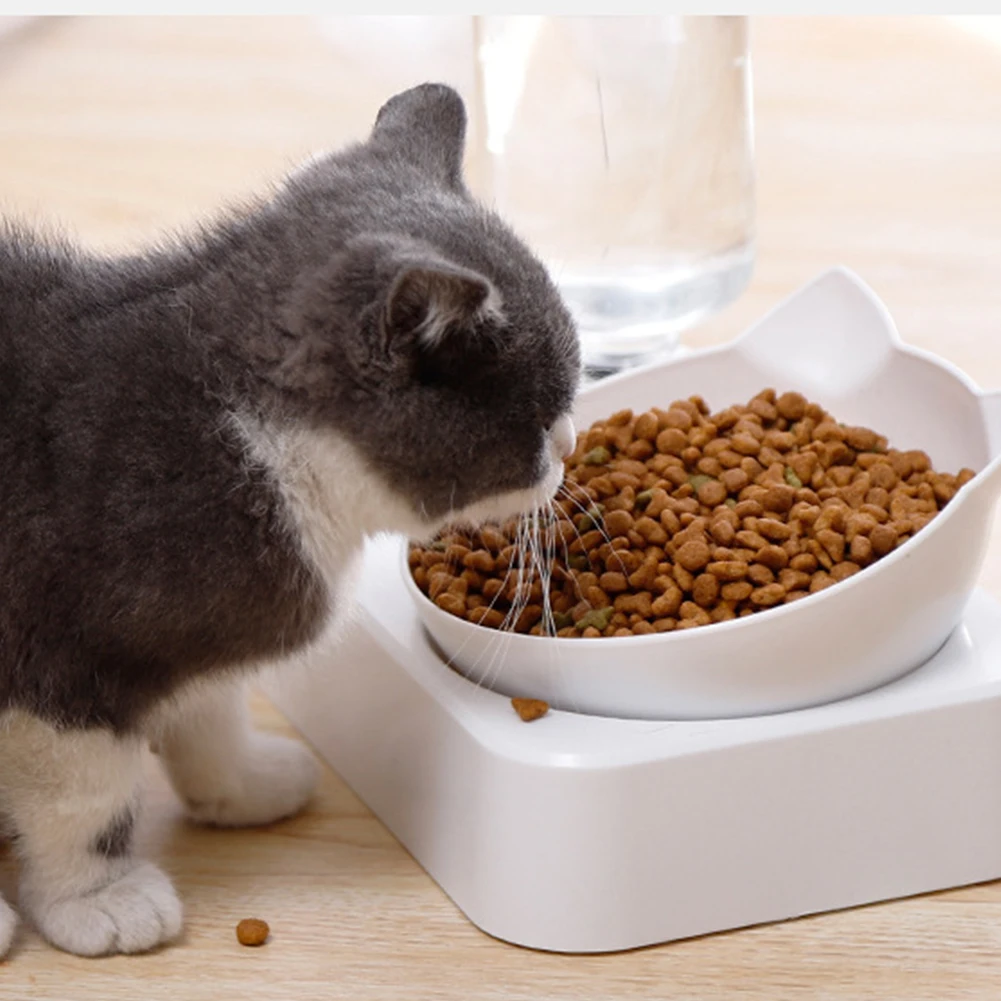 

Double Pet Bowl with Rectangular Base Automatic Dog Cat Food Bowl with Water Drinking Raised Stand Dish Bowls with Pet Supplies
