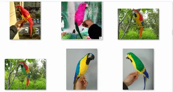 

artificial bird colourful feathers parrot hard model ornaments handicraft,home garden decoration gift a2005