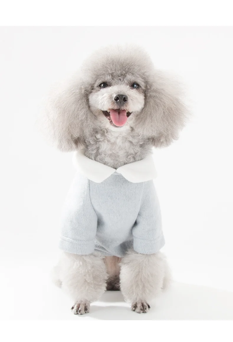 Новейшая Одежда для собак на осень и зиму, одежда для маленьких собак, вязаная модная футболка с принтом, разноцветная двухногая одежда для домашних животных