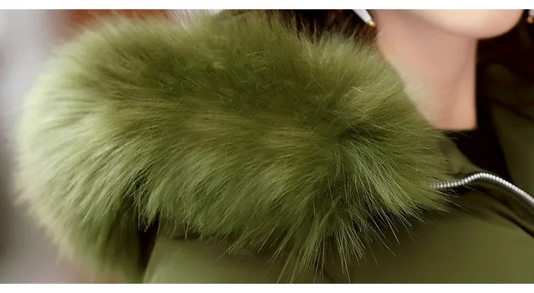 8979268068_1006637240