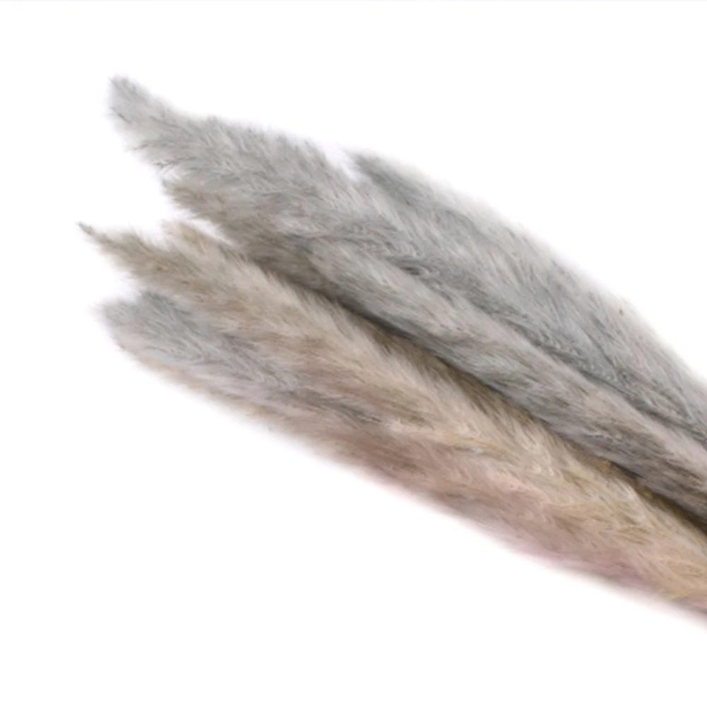 15 шт. сушеные маленькие пампасы трава Phragmites украшения для домашнего магазина свадьбы HVR88 - Цвет: brown