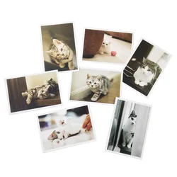 Lot de cartes postales Vintage chats, lot de 28 pièces, cartes d'invitation pour fête nouvel an 