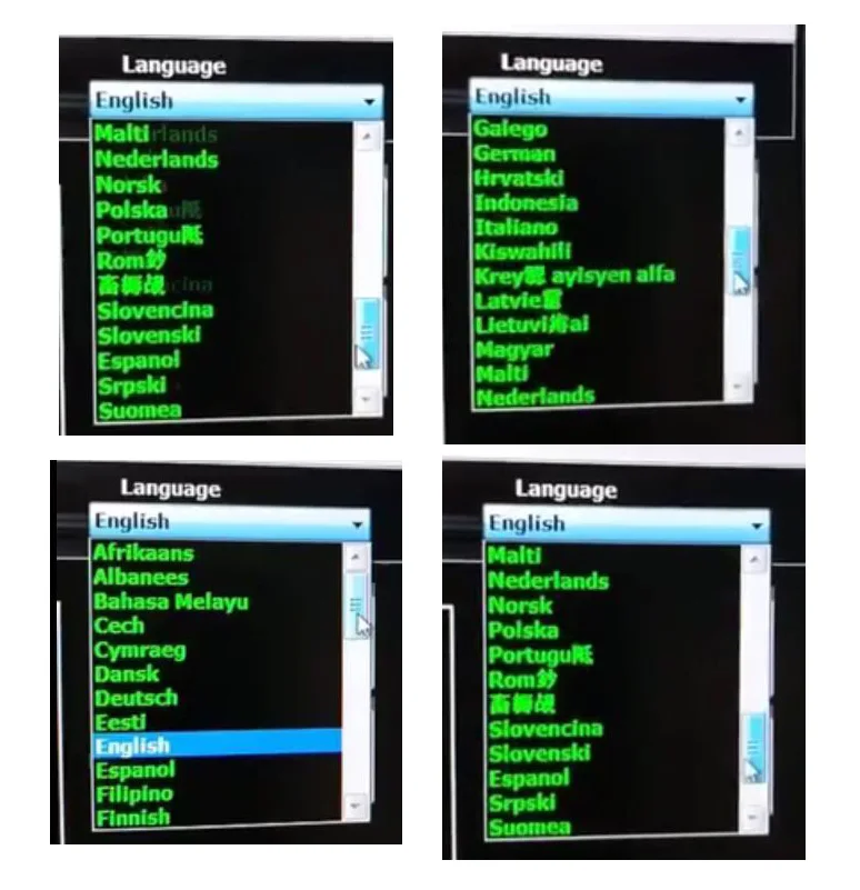 MPPS V21 Language