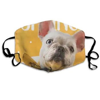 

Face Mask Welcome Flower Dog Fabulous Cycling Half Face Earloop Mouth Mask For Men