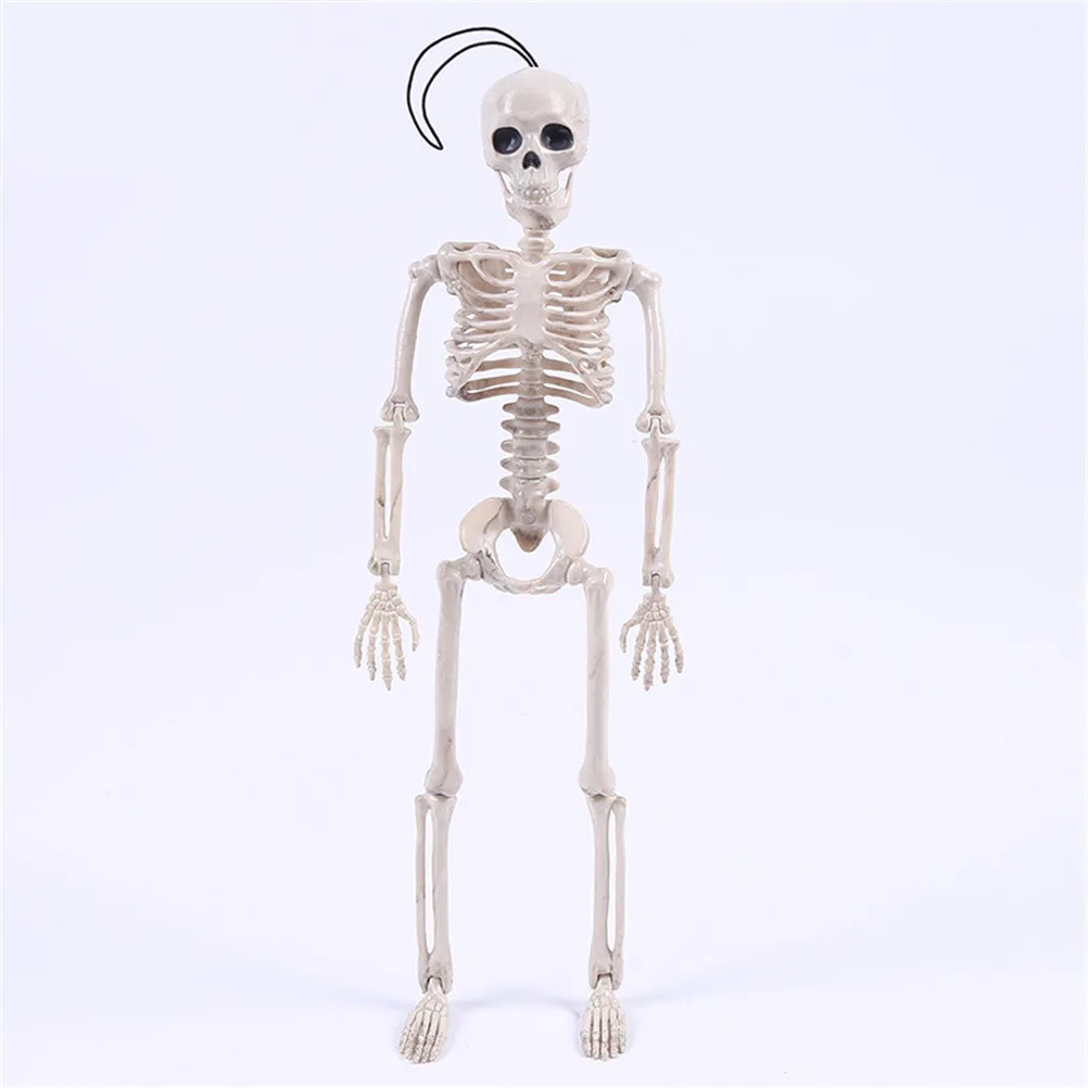 

40CM Flexible Human Anatomical Anatomy bone Skeleton Model Medical Wholesale Medical Learn Aid Anatomy art sketch Halloween