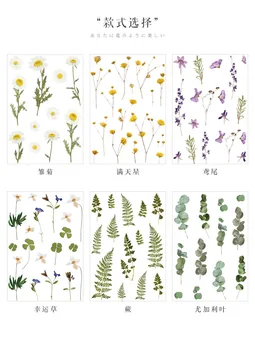 

Waterproof Decoration Sticker DIY Diary Hand Account Book Material Package Transparent Small Fresh Plant Literature and Art
