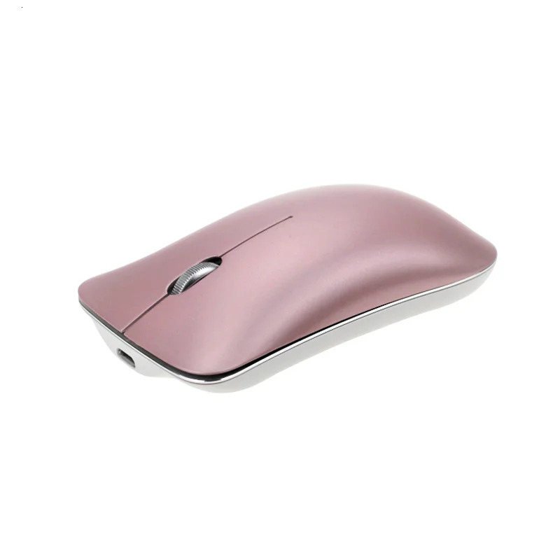 computer mouse