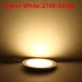 Warm White
