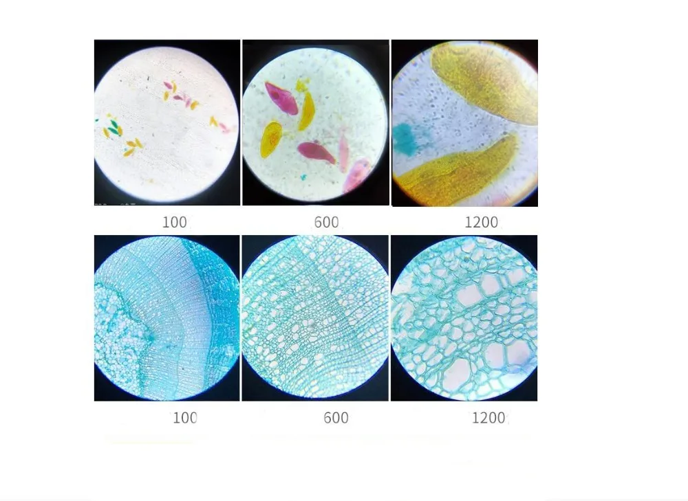 QQ图片20200930105744