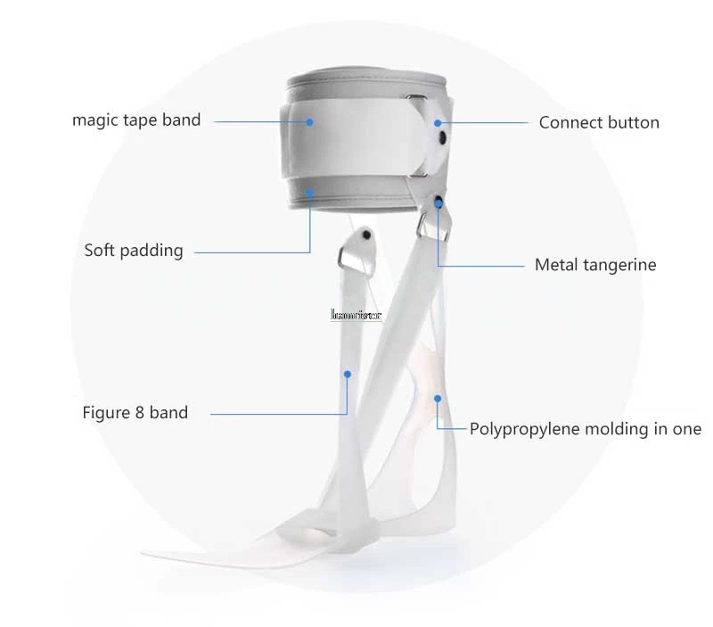 O1CN011GCQYmxmPoLAbTq_!!2991380586