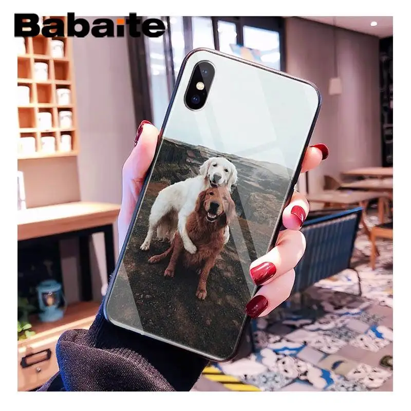Babaite улыбающийся Ангел животное милая собака клиент высокое стекло чехол для телефона для iPhone XR XS MAX X 7 8 6S Plus 11 11Pro 11Pro max - Цвет: A7