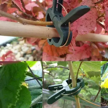 

60 Pcs Plant Support Clips,Flower and Vine Clips,Garden Tomato Plant Support Clips for Supporting Stems,Vines Grow Upright
