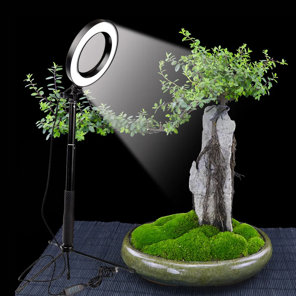 Светодиодный кольцевой светильник для селфи для фотосъемки с регулируемой яркостью 26 см, кольцевой светильник для камеры, телефона, 10 дюймов, настольные штативы для макияжа, видео в живую студию