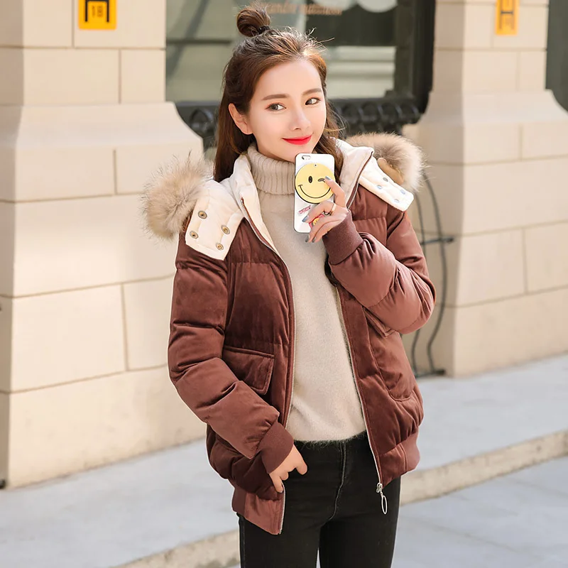 

WOMEN'S Dress Korean-style New Style Versitile Fashion Solid Color Casual Hooded Zipper Women's Cotton-padded Clothes Cotton Coa