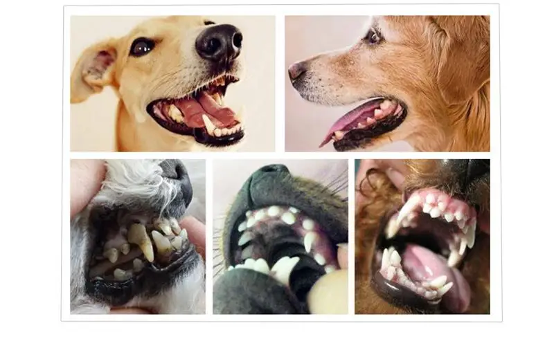 10908414347_1891774041