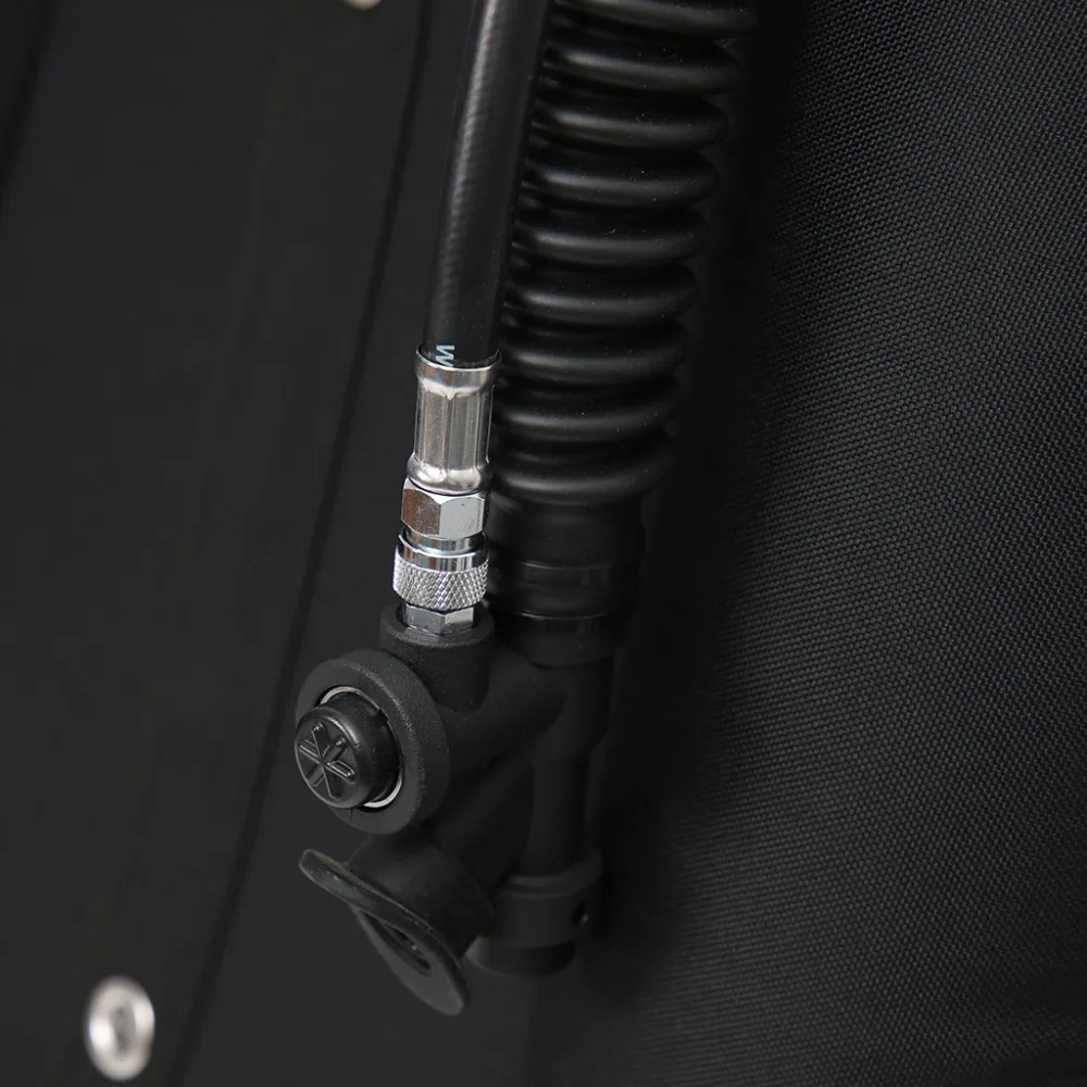 54042527_54042527_8_image