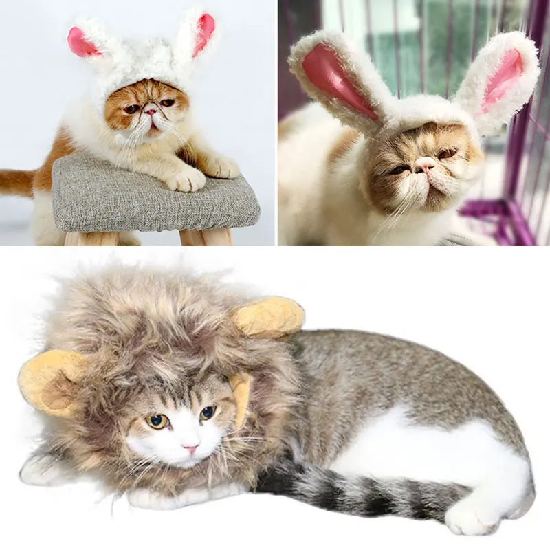 Украшение игрушки игрушка Шляпа кошка косплей парик домашнее животное голова Крышка 18*17 см красочные Моделирование волос осень зима щенок одеваются