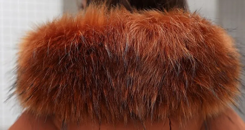 conew_9041739137_1006637240_conew1