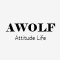 Awolf Sanitary Ware Store