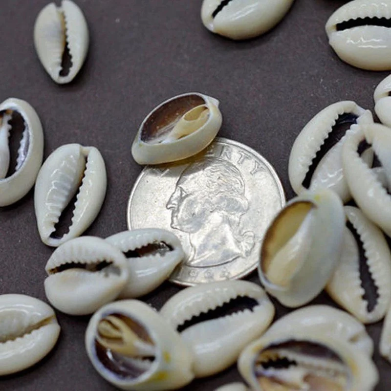100Pcs Lots Small Bulk Cut Sea Shell Ivory Cowrie Cowry Beads Beach Jewelry DIY 