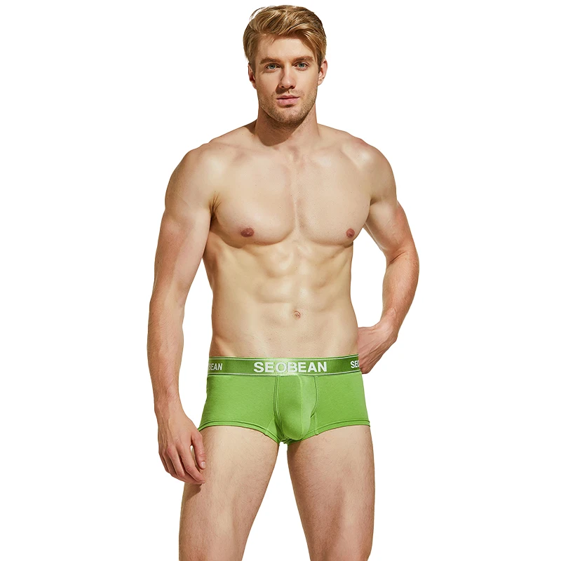 Mens Low Rise Panties Underwear Boxer Shorts Trunks Briefs Underpants Cotton