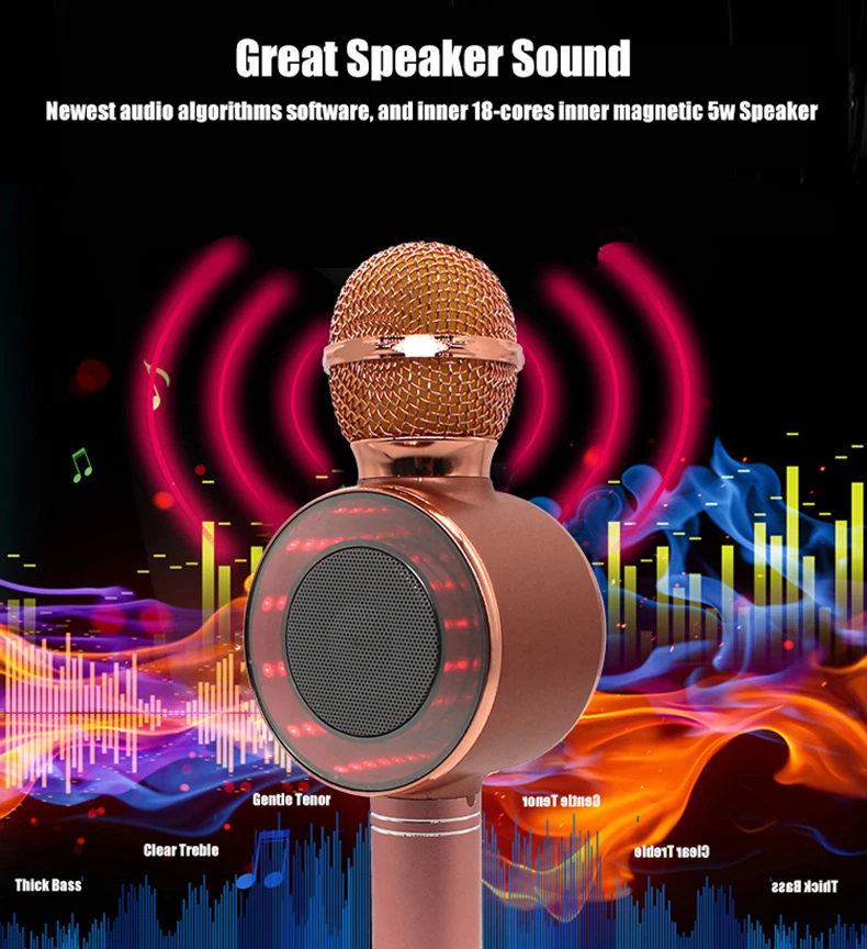 WS668 беспроводной Bluetooth караоке микрофон динамик TF карта/U диск воспроизведение музыки запись FM радио диск светодиодный светильник Mic Pk Ws858