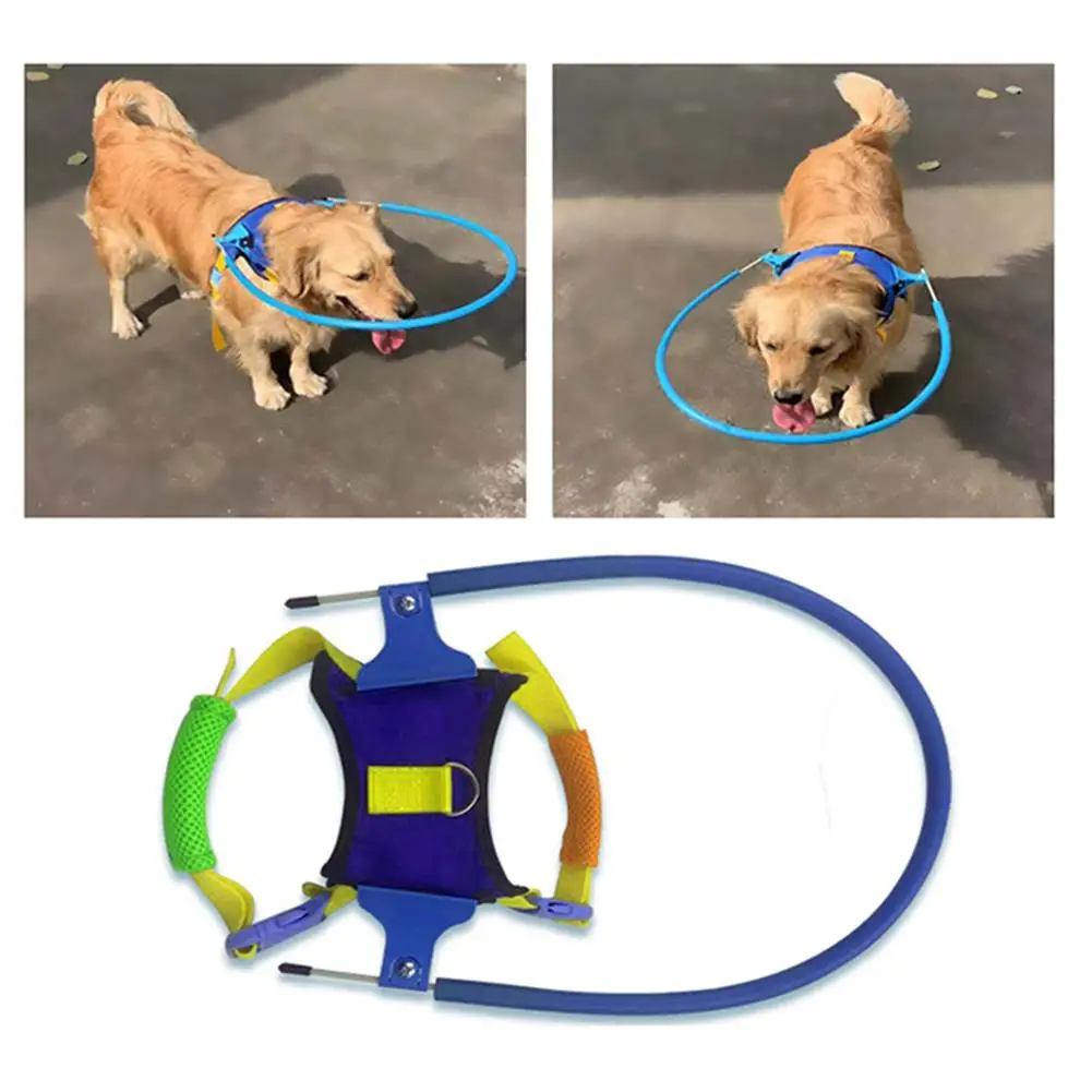 HobbyLane слепой Pet анти столкновения кольцо катаракта защита животных круг