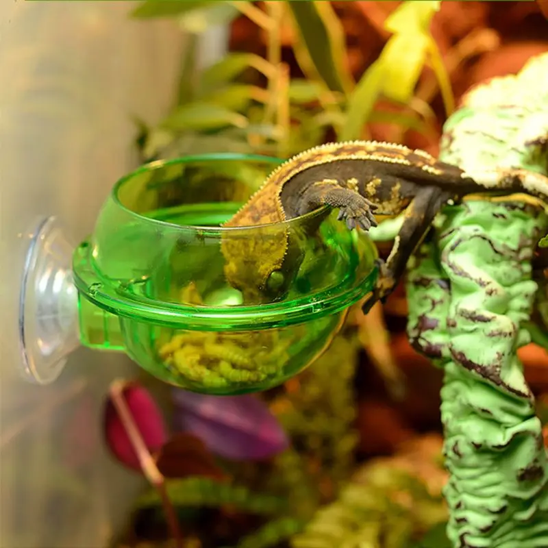 Товары для домашних животных рептилия анти-побега миска для еды чашка Черепаха Ящерица червь живой контейнер для еды