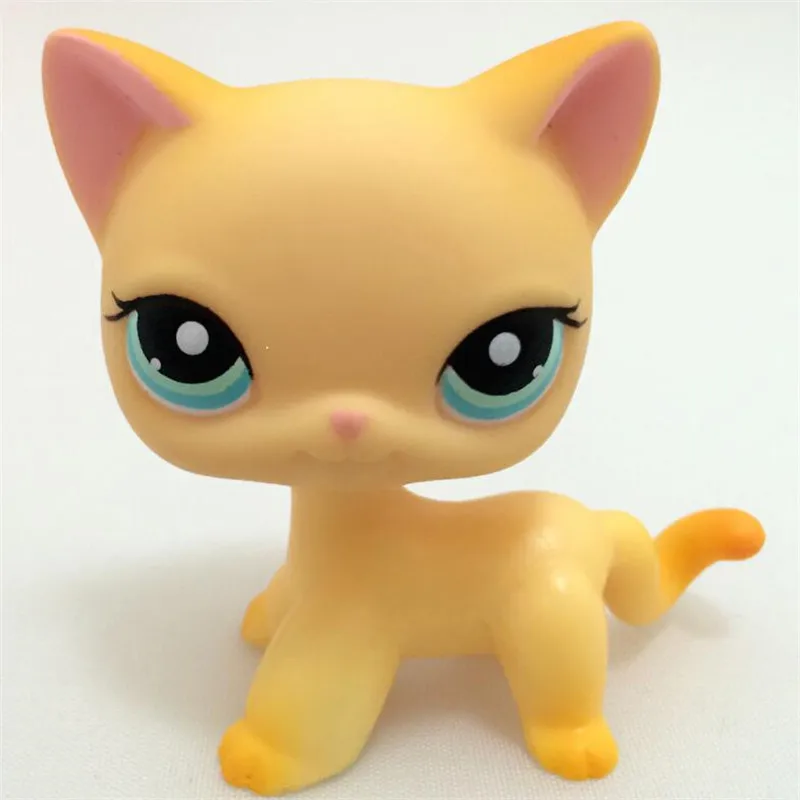 Details about   Littlest Pet Shop 816 Yellow Shorthair Kitty Rare Doll Collection Action Figure 