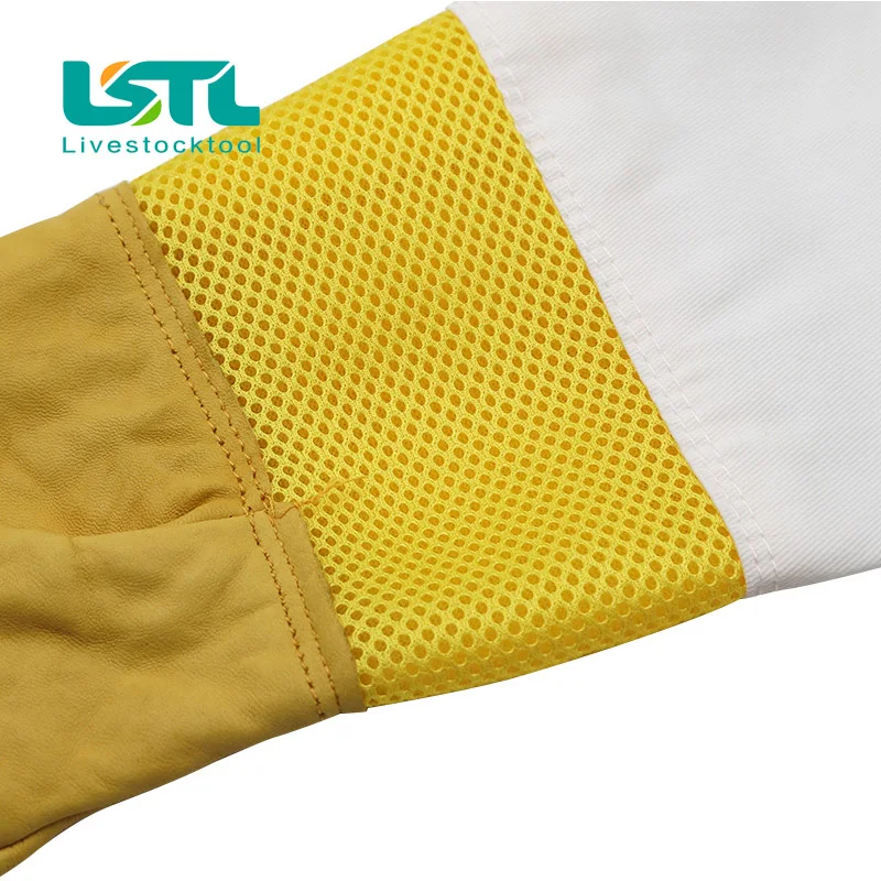 Slide image 6dae0820168c4c778045732e1ae0854c