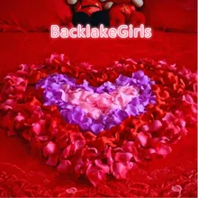 BGW 100 шт./упак. 5*5 см искусственные цветные Искусственные цветы Свадебные аксессуары лепестки роз к свадьбе Petalos De Rosa De Boda