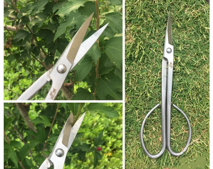 11822856372_544659970