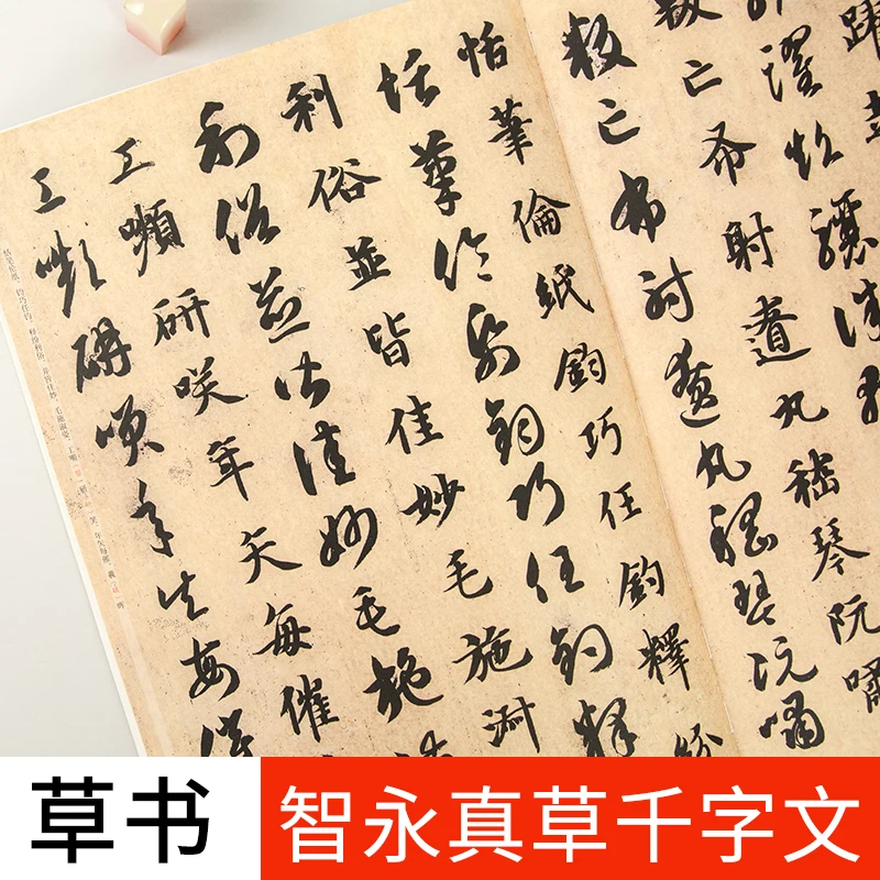 中国書道辞典 送料込み Amazon | カシオ 電子辞書 エクスワード 中国語モデル XD