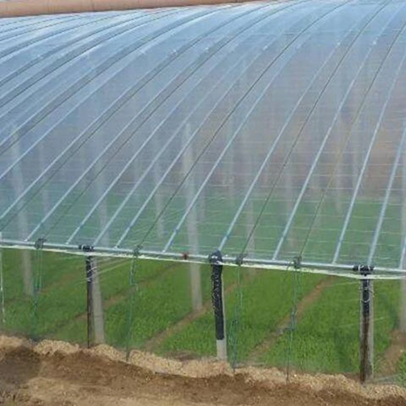 3M Wide Garden Film Agricultural Greenhouse Film Farm Crops Vegetable Plant Cover Transparent Tarpaulin Clear/Blue