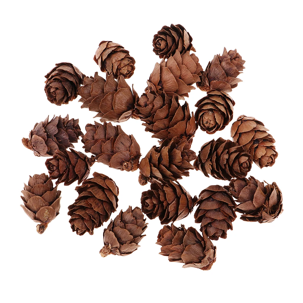50pcs Small Real Natural Pine Cones For Wedding Xmas Party Hanging Decoration Home Room Cafe Ornament Photo Prop