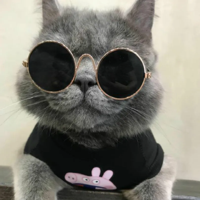 cats accessories glasses cats sunglasses for dogs free shipping dog sunglasses pet cat decoration
