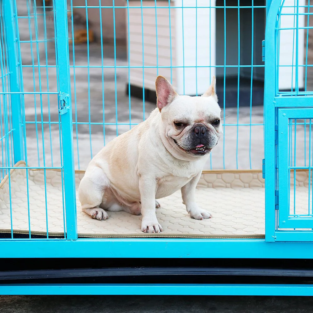 Pet Puppy Тренировочный Коврик Водонепроницаемый моющийся Многоразовые моющиеся мочалки пеленки для собаки кошки кровать диван матрас поглощающий защитный чехол