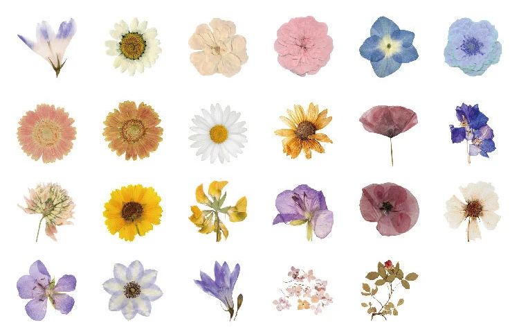 Xusheng растения серия милые цветы наклейки Скрапбукинг Канцелярские товары японский дневник наклейки канцелярские