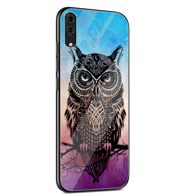 Чехол для телефона для huawei P30 P20 P Smart P10 Y6 7A Y9 смартфона Honor 8X9 10 Коврики 20 Pro Lite животное мультяшная Сова Diy Красочный Рисунок - Цвет: G5