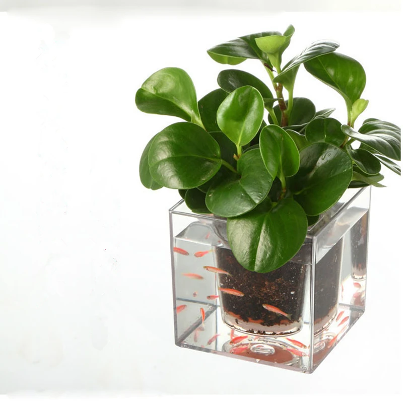 Clear Self-Watering Plant Flower Pot PP Resin Planter Office Home Garden Decors 