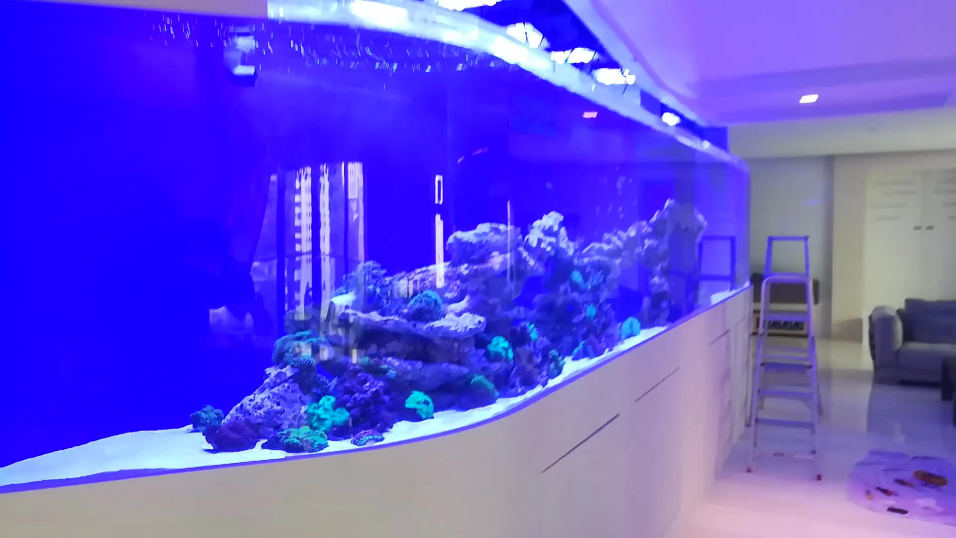 Uv Lamp Led Aquarium Light Ctlite G4 App Control Mega Aqua Led Aquarium Light With Full Spectrum Contactors Aliexpress