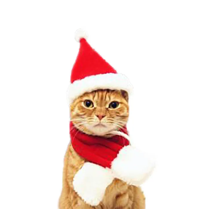 Собачий кошачий шарф, шапка, плащ, повязка на голову, набор подарков, Рождественская вечеринка, зимняя одежда SNO88