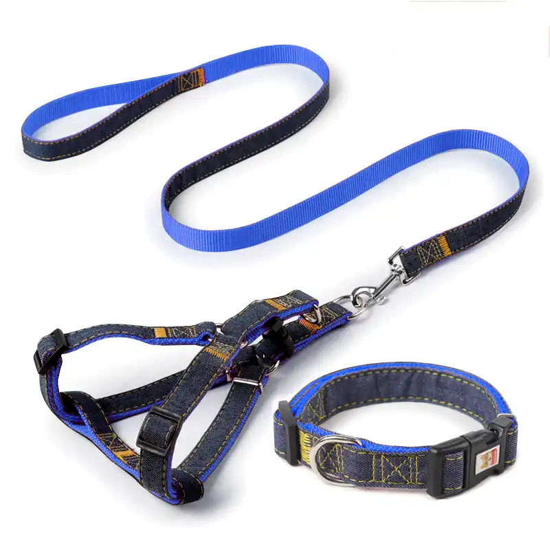 Belt for small puppy Outlet
