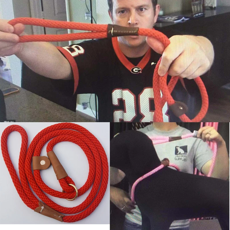 Durable Dog Slip Rope Leash, 6 FT Dog Training Leash, Strong Slip Lead